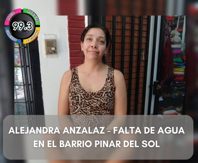 Alejandra Anzalaz